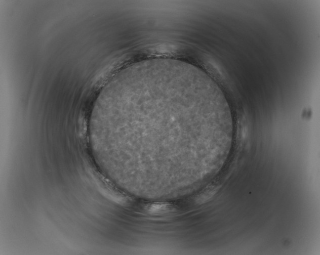 X0000114390173200911131351