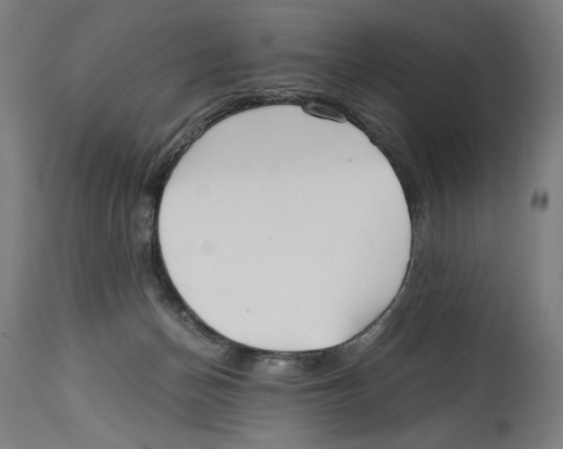 X0000114390174200911131351