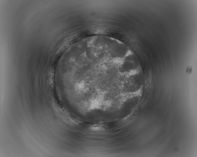 X0000114390175200911131351