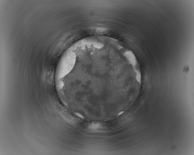 X0000114390177200911131351