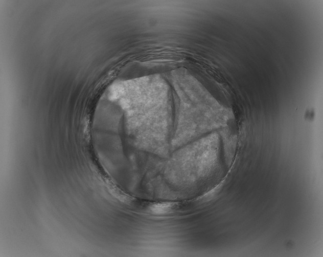 X0000114390178200911131351