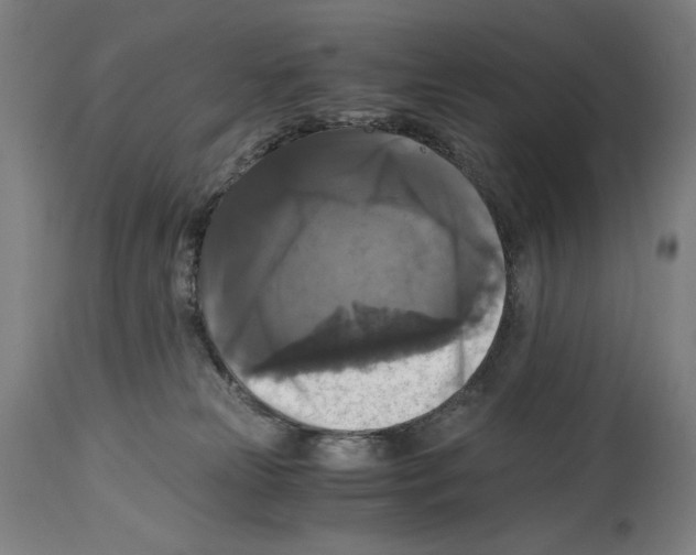 X0000114390181200911131351