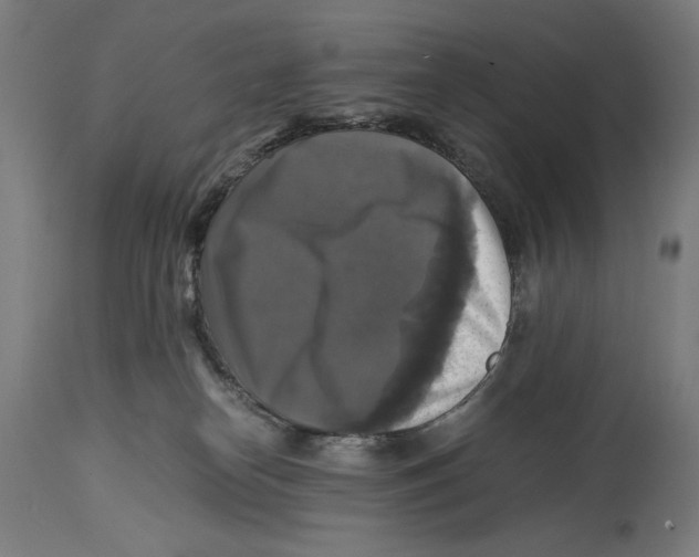 X0000114390182200911131351