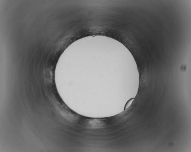 X0000114390183200911131351