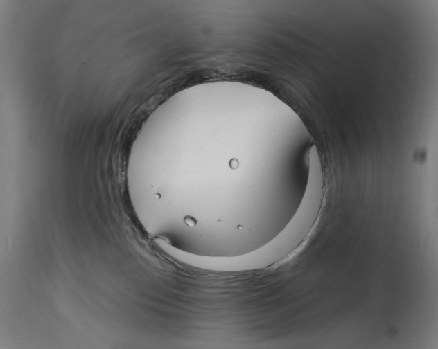 X0000114390186200911131351