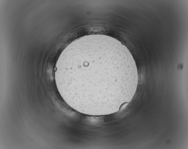 X0000114390187200911131351