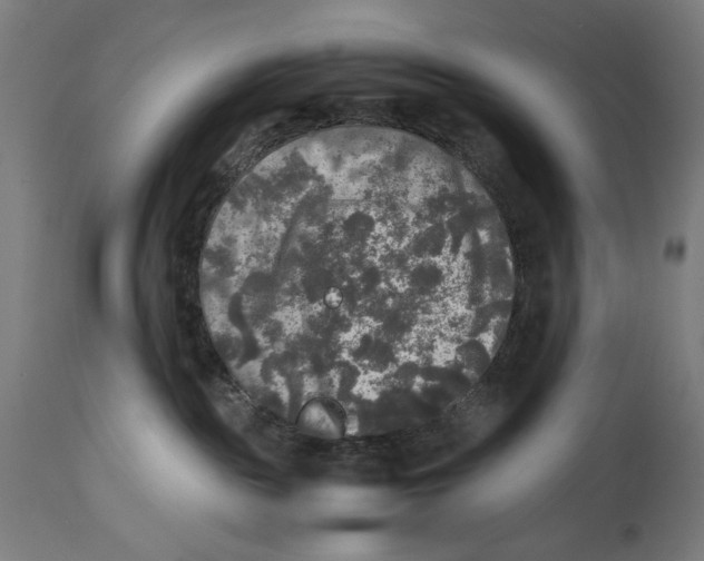 X0000114390189200911131351