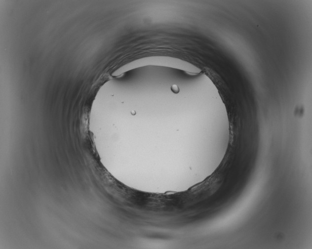 X0000114390190200911131351