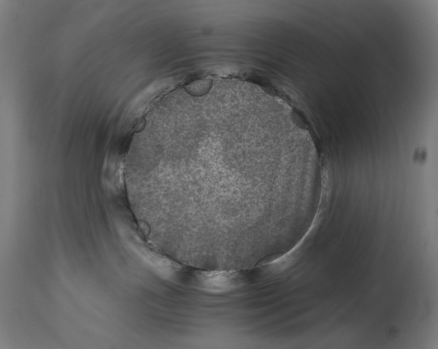 X0000114390191200911131351