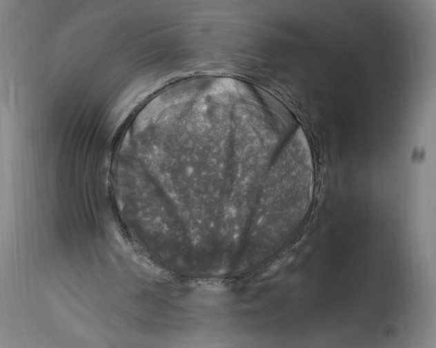 X0000114390194200911131350