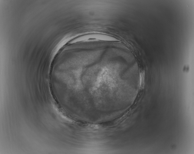 X0000114390195200911131350