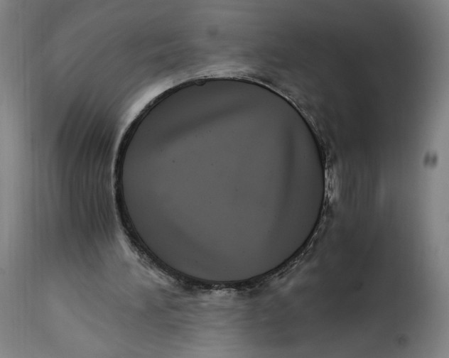 X0000114390196200911131350