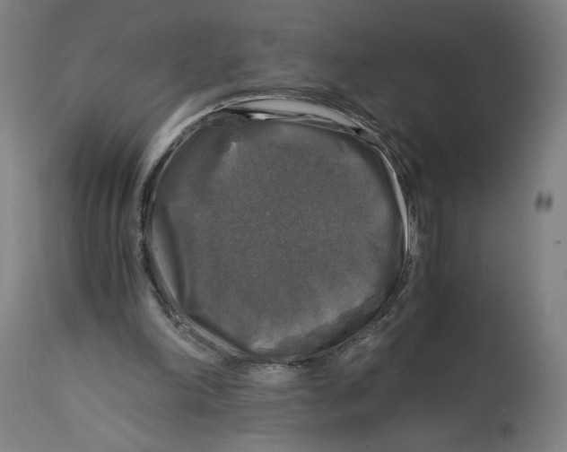 X0000114390198200911131350