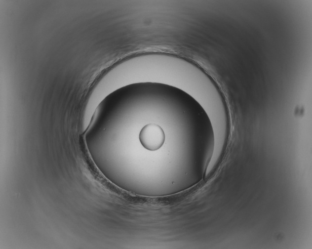 X0000114390201200911131350