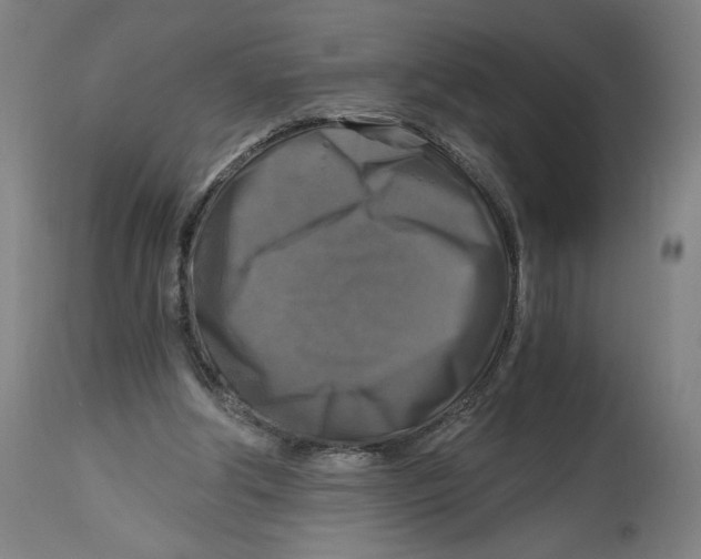 X0000114390202200911131350