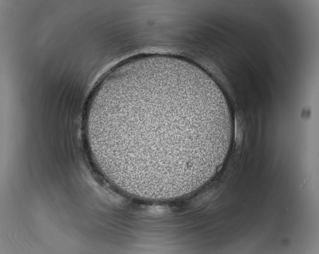 X0000114390204200911131350