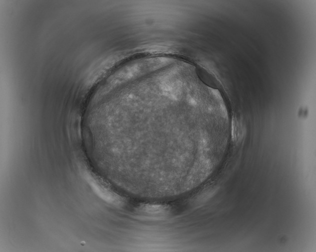 X0000114390205200911131350