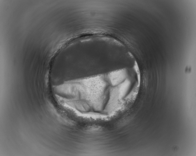 X0000114390206200911131350