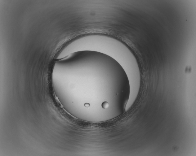 X0000114390207200911131350