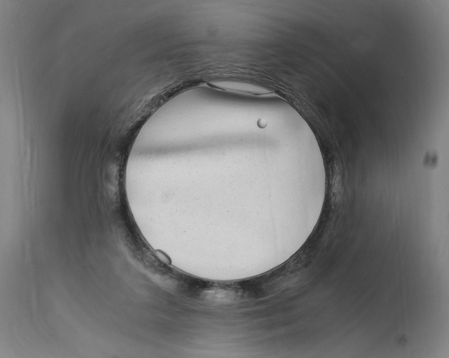 X0000114390211200911131350