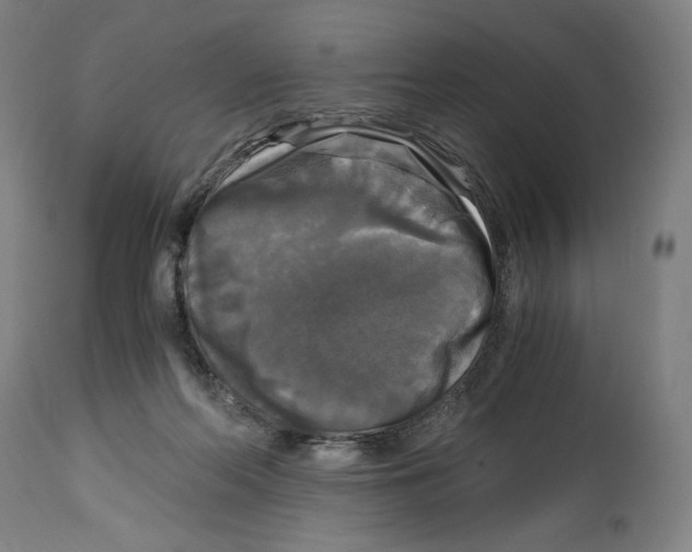 X0000114390214200911131350