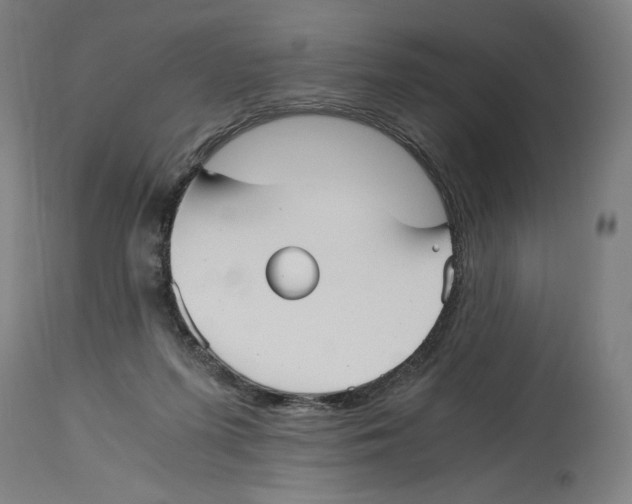 X0000114390215200911131350