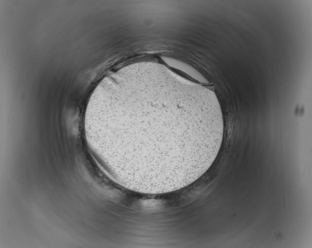 X0000114390216200911131350