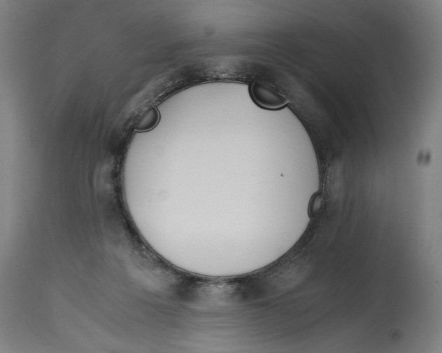 X0000114390217200911131350