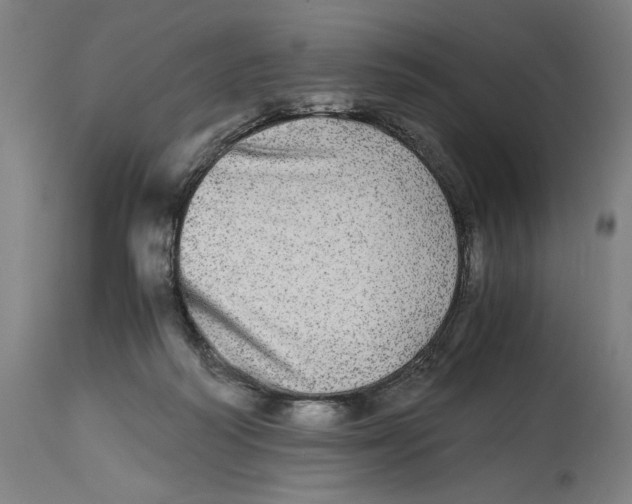 X0000114390218200911131350