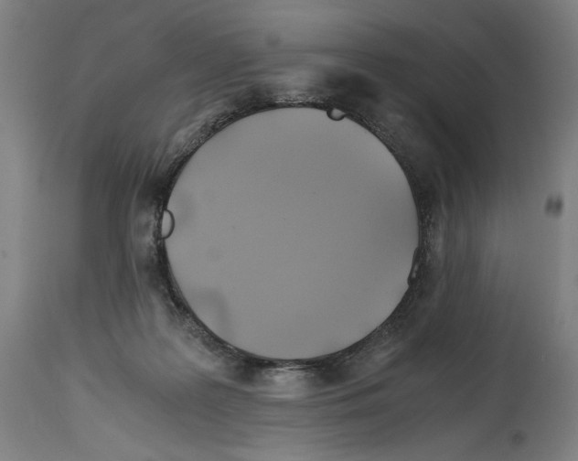 X0000114390219200911131350