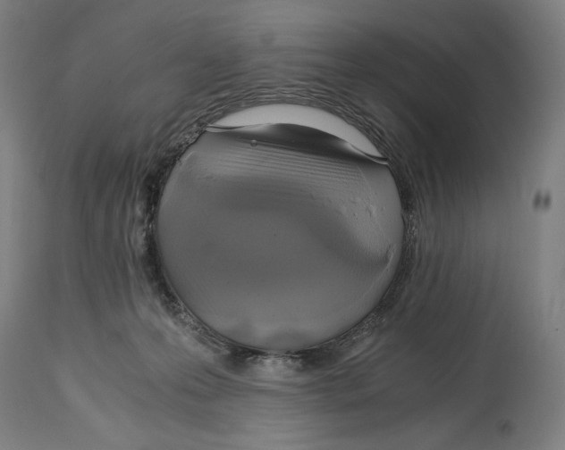 X0000114390223200911131350