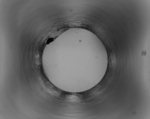 X0000114390224200911131350