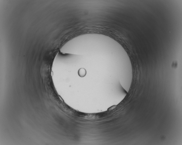 X0000114390225200911131350