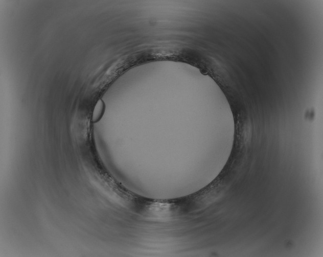 X0000114390227200911131350