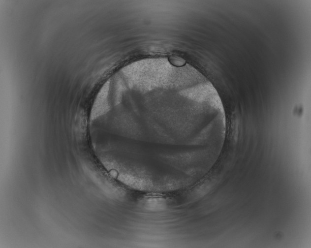 X0000114390228200911131350