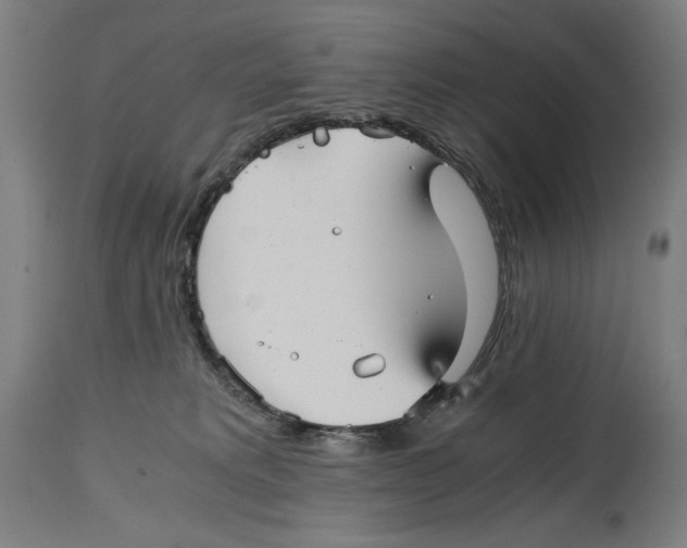 X0000114390229200911131350