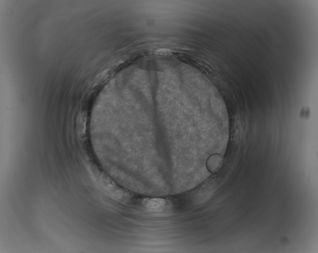 X0000114390230200911131350