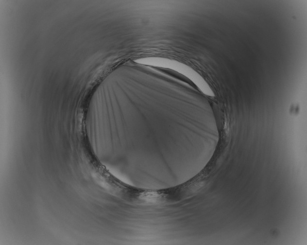 X0000114390231200911131350