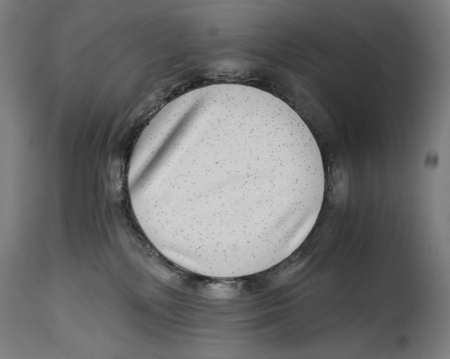 X0000114390232200911131350