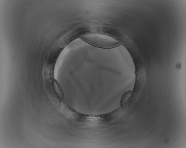 X0000114390233200911131350