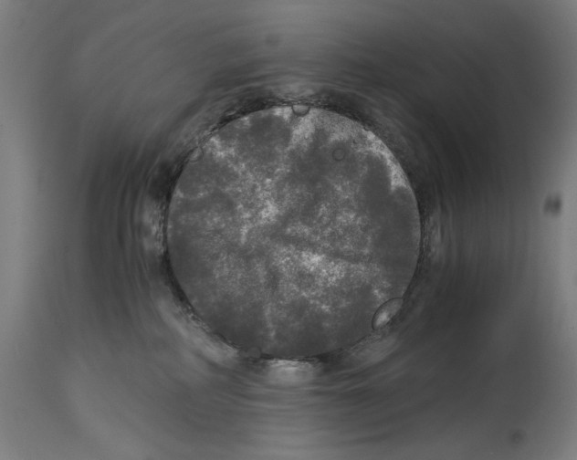 X0000114390234200911131350