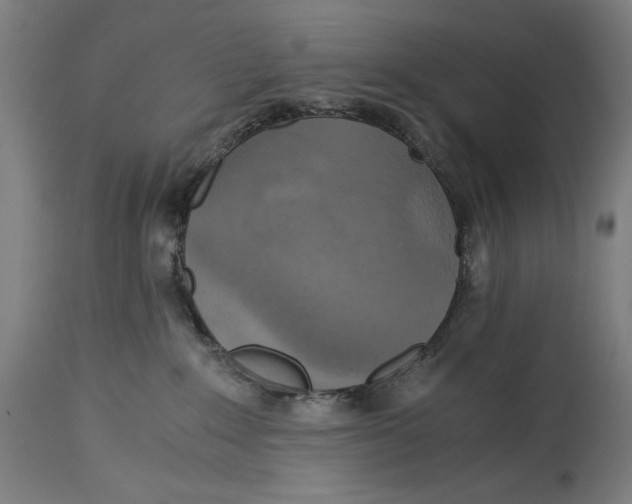 X0000114390235200911131350