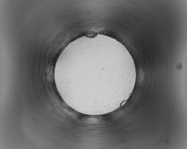 X0000114390236200911131350