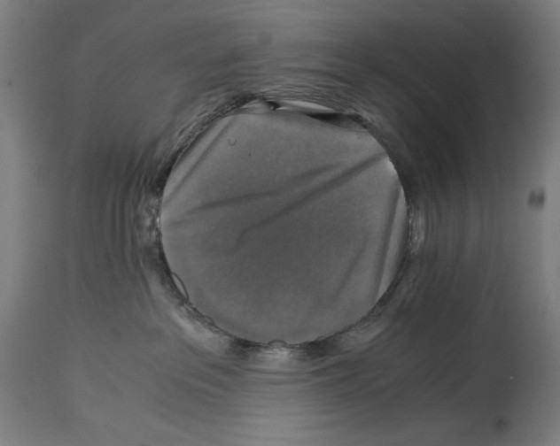 X0000114390237200911131350