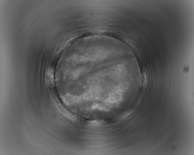 X0000114390238200911131350