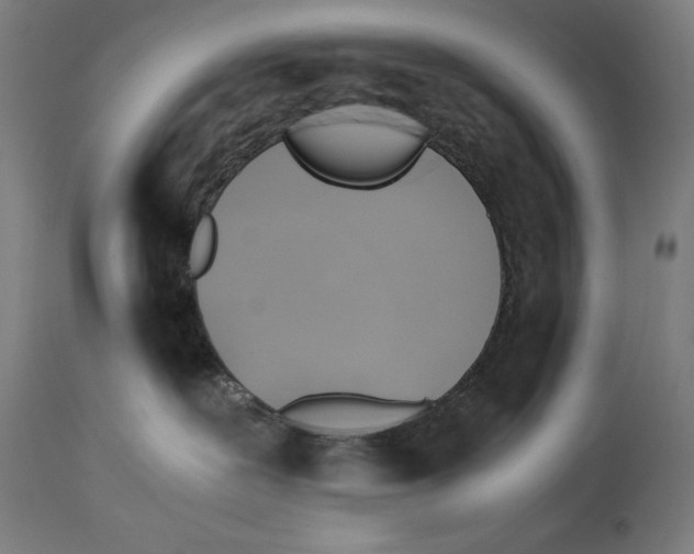 X0000114390239200911131350