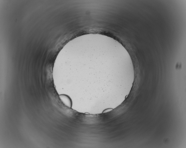 X0000114390240200911131350