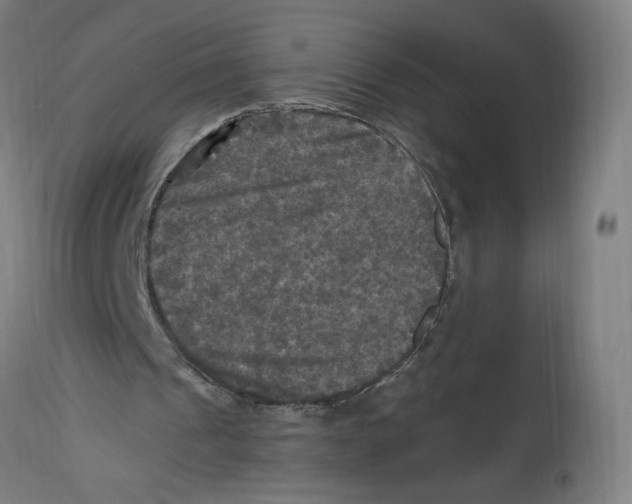 X0000114390241200911131349