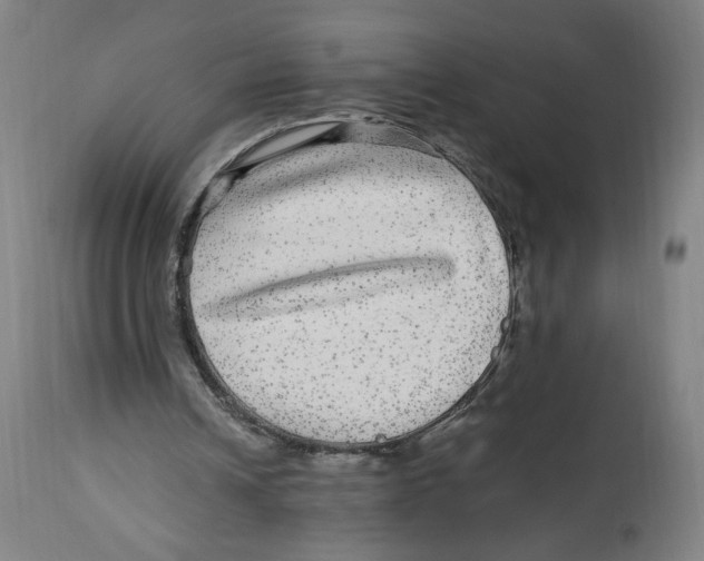 X0000114390242200911131349