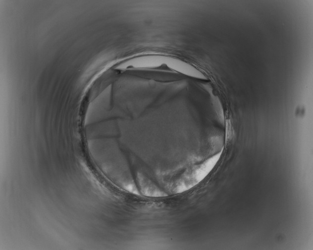 X0000114390243200911131349